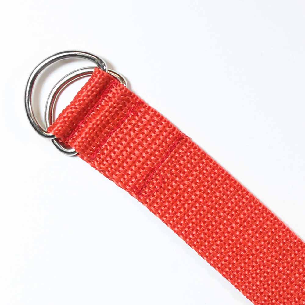 Silver D-Ring on Webbing 