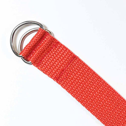 Silver D-Ring on Webbing 