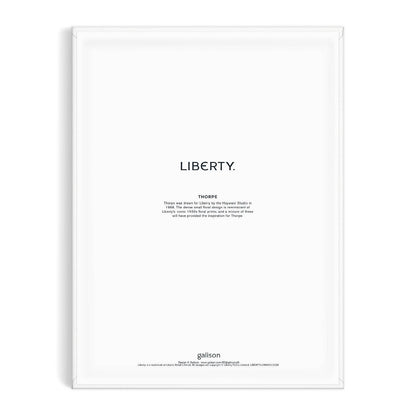 Liberty 9 x 12 Paint by Number Kit Thorpe