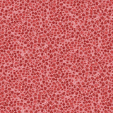 red colored fabric with river rock pattern illustrations.  typically used for quilting and crafting. from Eden from FIGO Fabrics 